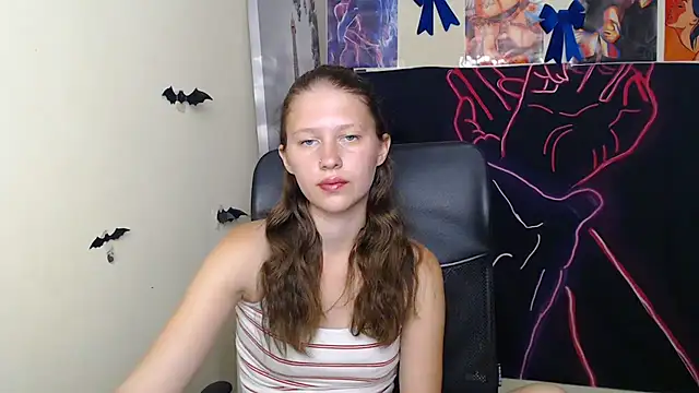 StellaCRL webcam