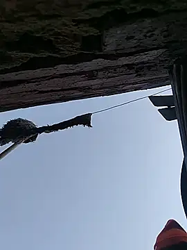 Breezyvikky webcam