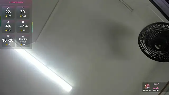 Agnes-23 webcam