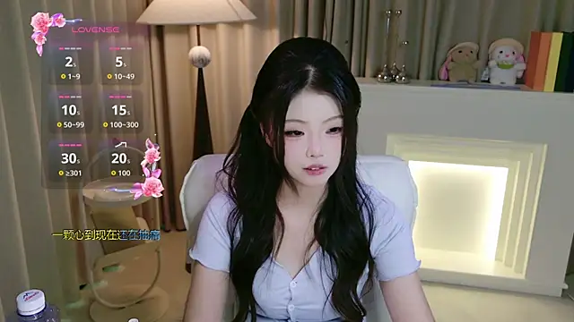 DAIDAI-520 webcam