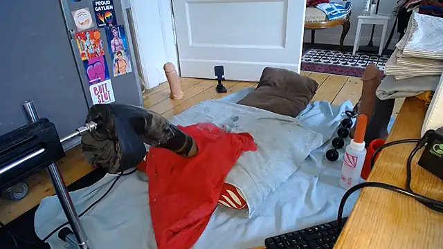 natjuk webcam