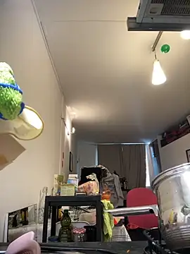 ladyturtle