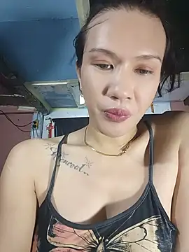 manilafoxts webcam
