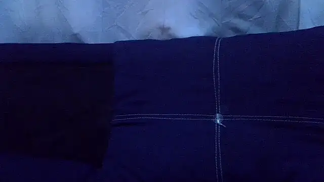 Enkarxx webcam