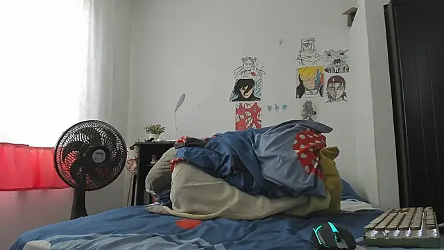 SonSett webcam
