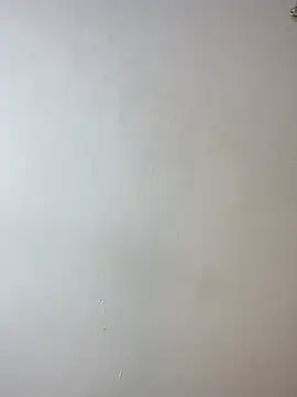 ebi_velvet webcam