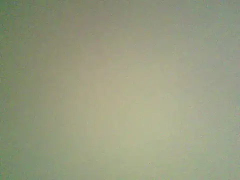 Yalamania webcam