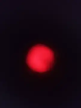 mariusSingur webcam