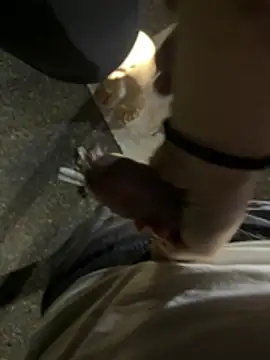 ZEROO7788 live sex cam