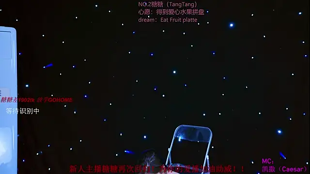 CCTW-100 webcam