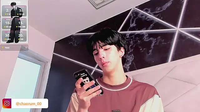 AerumChae webcam