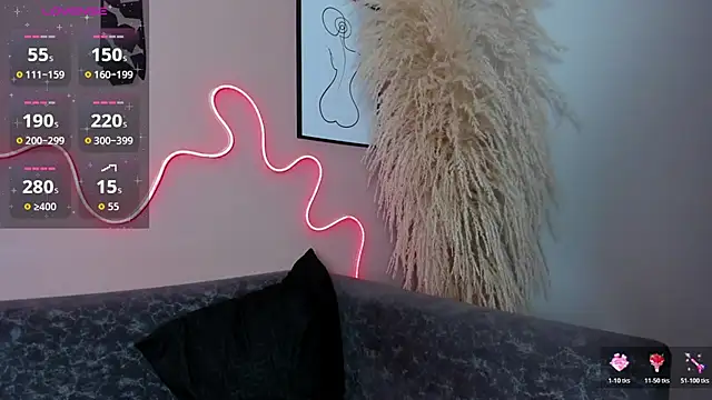 karo_linee1 webcam