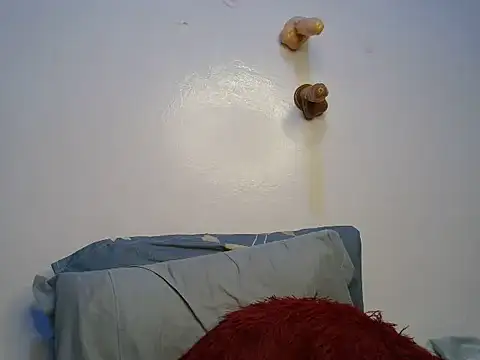 sexylushlila webcam