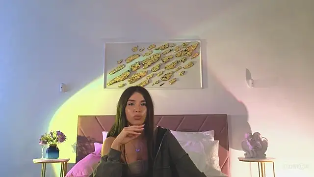 Vi_fi webcam