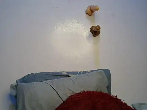 sexylushlila webcam