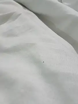 passangtam live cam on StripChat