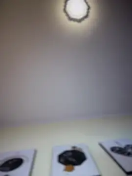 MaverickGrey webcam