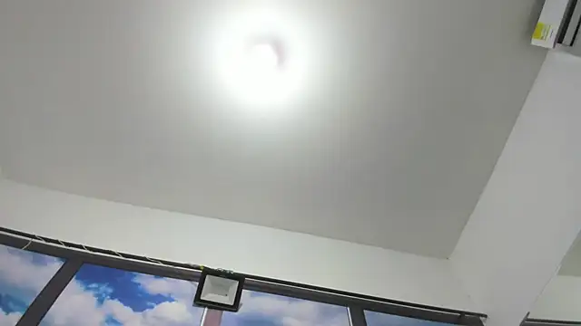 DilanAndKing webcam