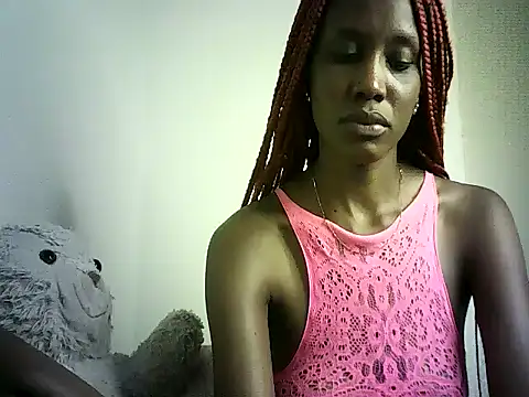 DelteAfriq webcam