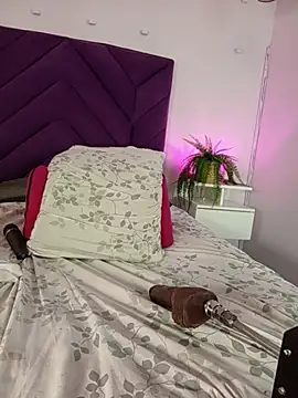 haileystone webcam