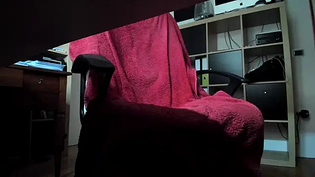 leccaleccafiga webcam
