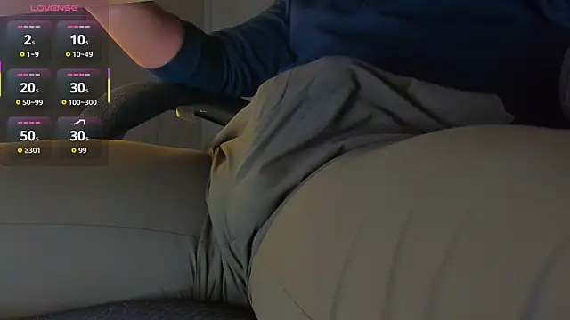 BulgeArt webcam