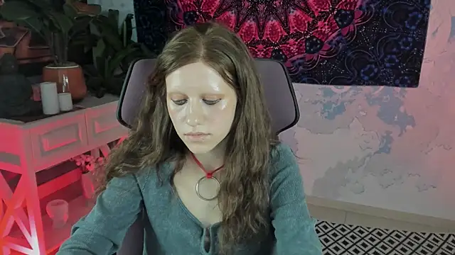 LidaDarknet webcam