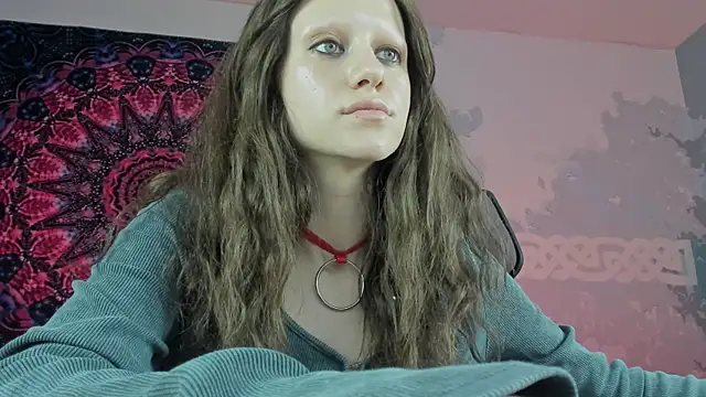 LidaDarknet webcam