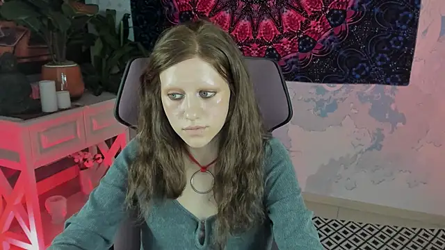 LidaDarknet webcam