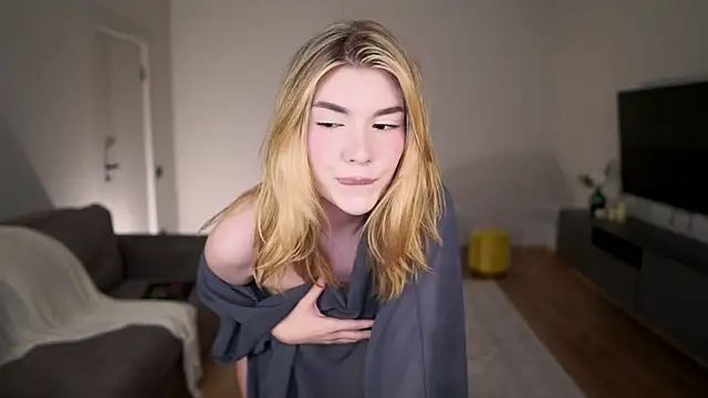 AdaBell webcam