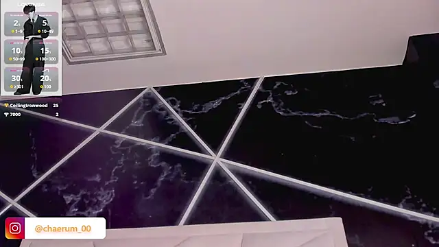 AerumChae webcam