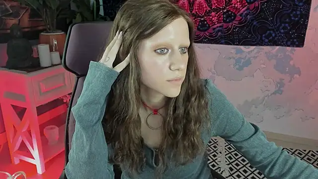 LidaDarknet webcam
