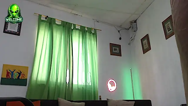 alpha_zom webcam