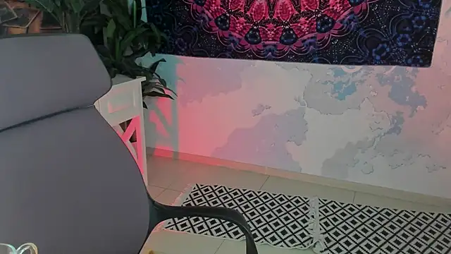 LidaDarknet webcam