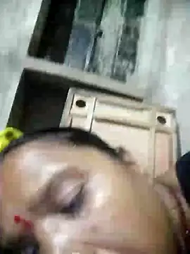 Loomaraj webcam