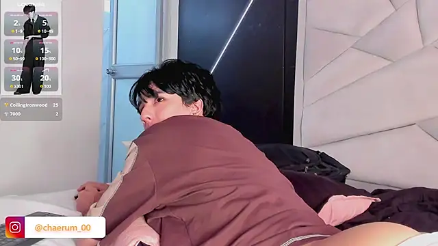 AerumChae webcam