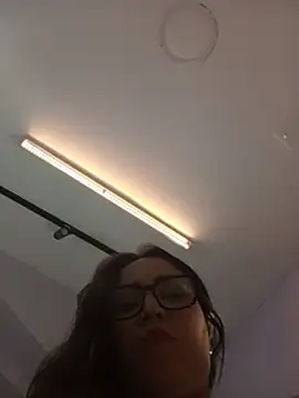 haileystone webcam