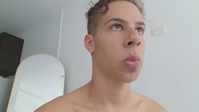 grey___27 webcam