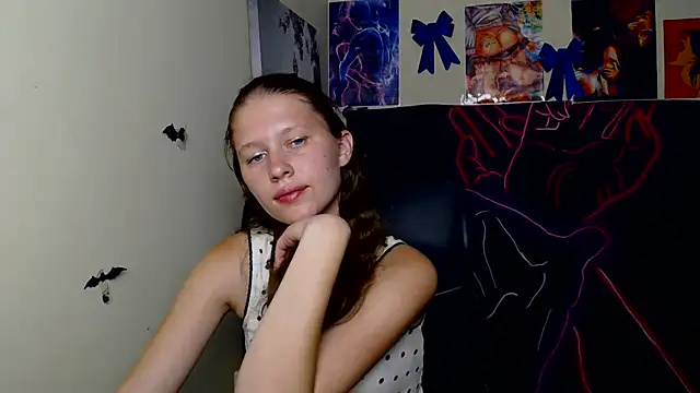 StellaCRL webcam