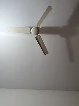 manasa_