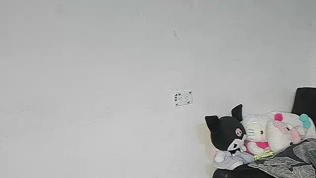 Eirlysx webcam