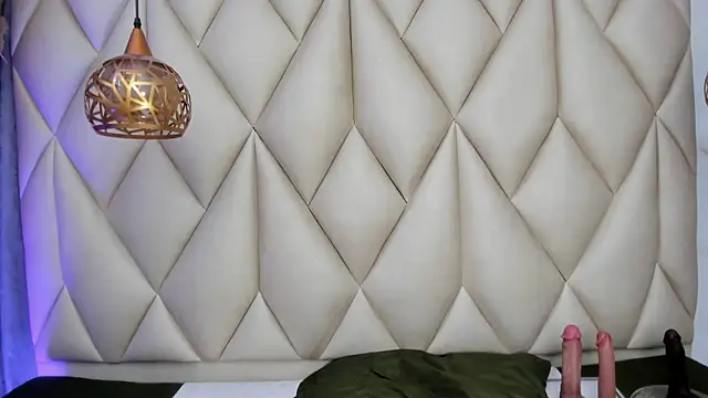 Ibbie_drastic webcam