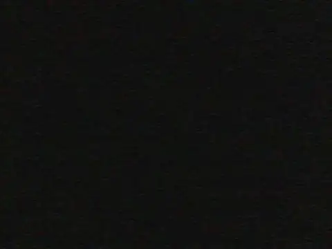 shugabaibe webcam