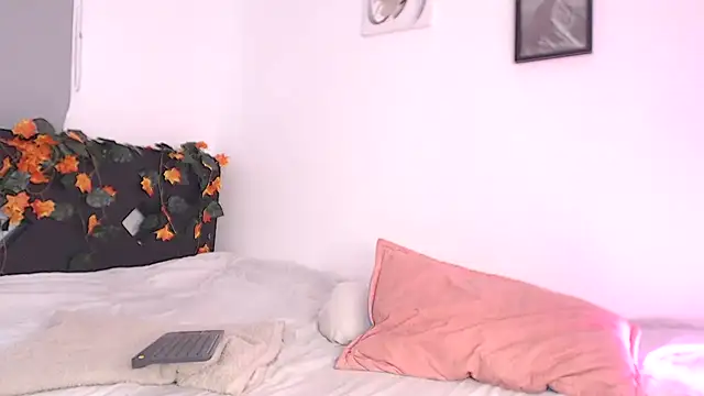__abrill__ webcam