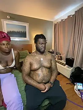 Tattedupdek webcam