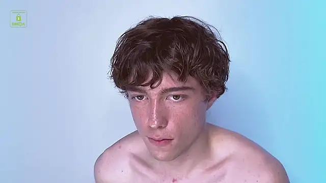 mark_shot webcam