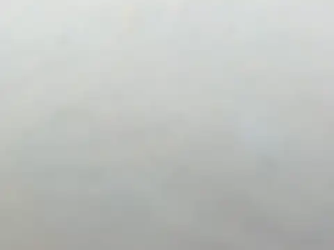 Derek_y_nesly webcam