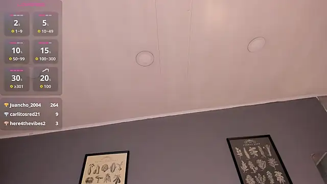AntonellaaFerrer_ webcam