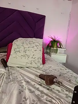 haileystone webcam