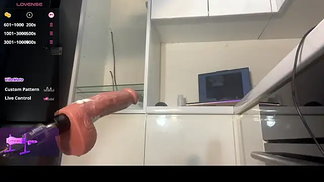 Marina- webcam